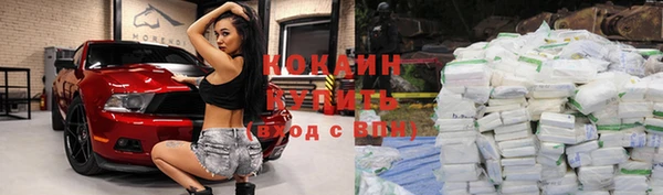 PSILOCYBIN Вязники