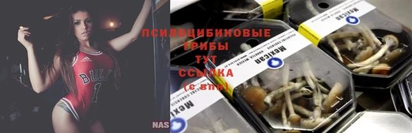 ГАЛЛЮЦИНОГЕННЫЕ ГРИБЫ Володарск