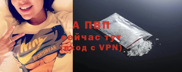 PSILOCYBIN Вязники