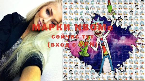 индика Волосово