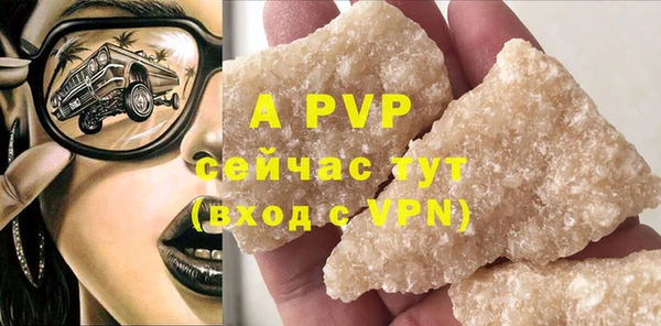 PSILOCYBIN Вязники