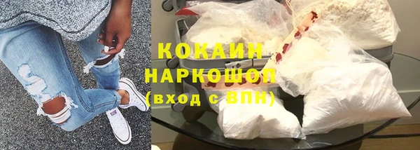 индика Волосово