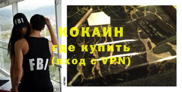 индика Волосово